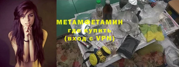 ГАЛЛЮЦИНОГЕННЫЕ ГРИБЫ Заволжье