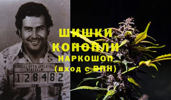 метадон Заводоуковск