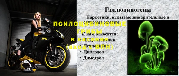 стафф Заволжск