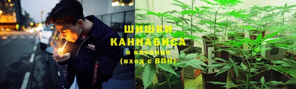 ГАЛЛЮЦИНОГЕННЫЕ ГРИБЫ Заволжье