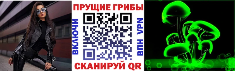 Галлюциногенные грибы мицелий  Купить  Тайшет 